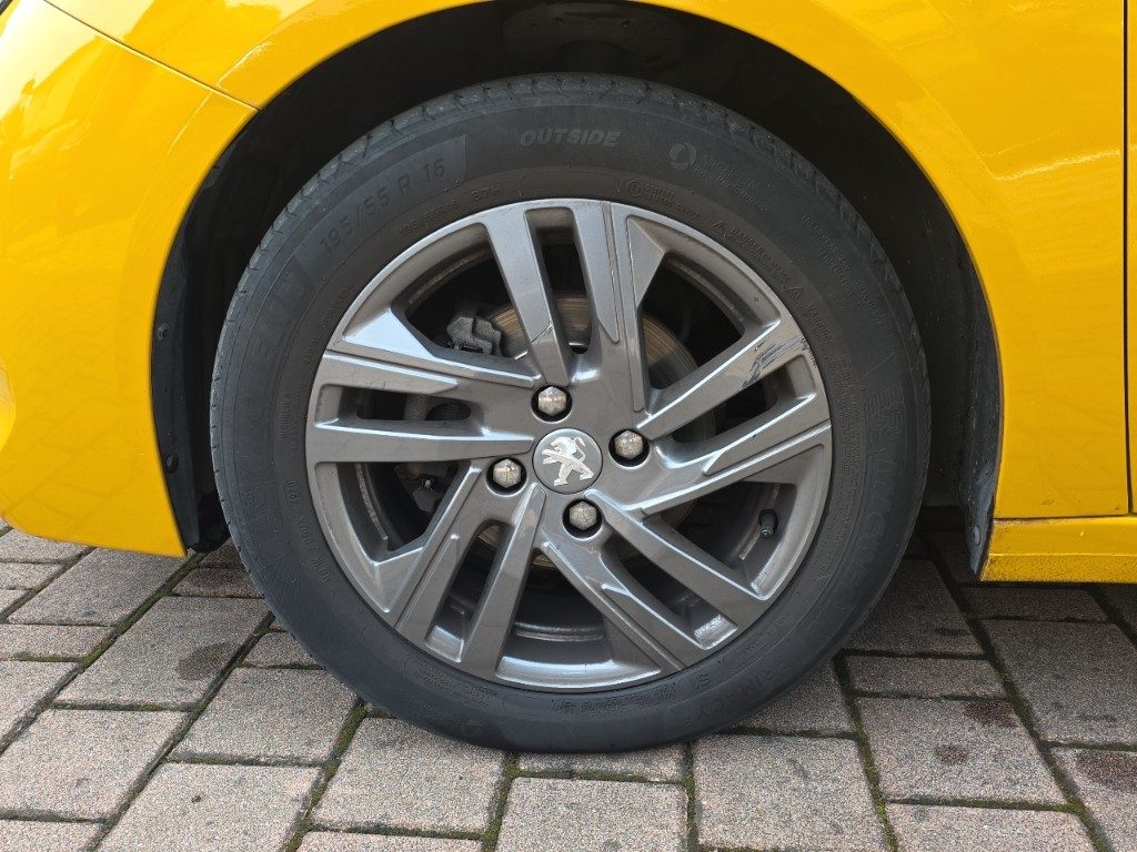 23789918-img11.jpg